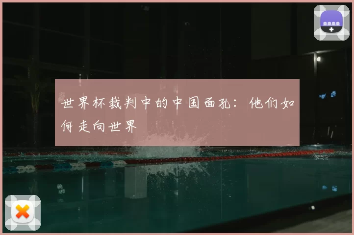 世界杯裁判中的中国面孔：他们如何走向世界