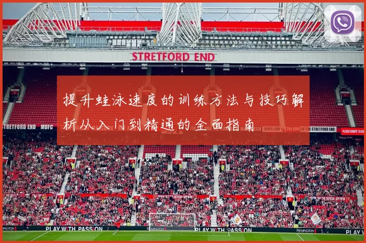 提升蛙泳速度的训练方法与技巧解析从入门到精通的全面指南