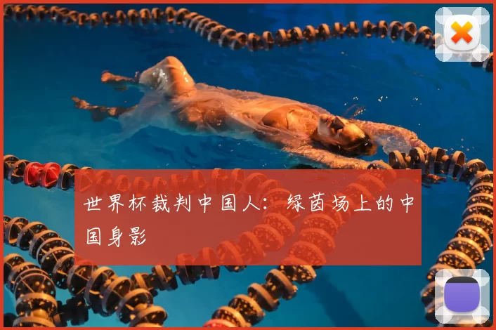 世界杯裁判中国人：绿茵场上的中国身影