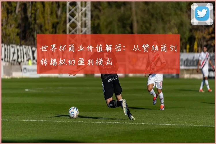 世界杯商业价值解密：从赞助商到转播权的盈利模式