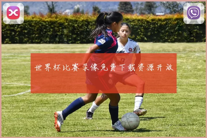 世界杯比赛录像免费下载资源开放
