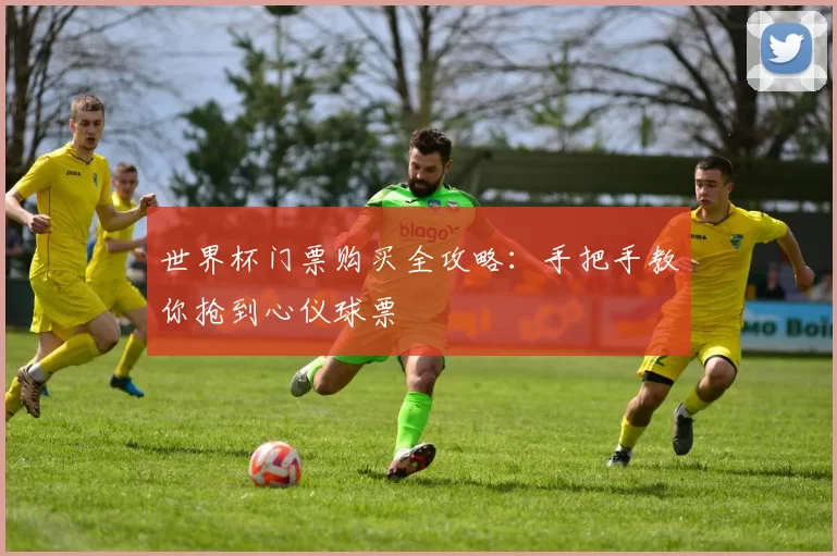 世界杯门票购买全攻略：手把手教你抢到心仪球票